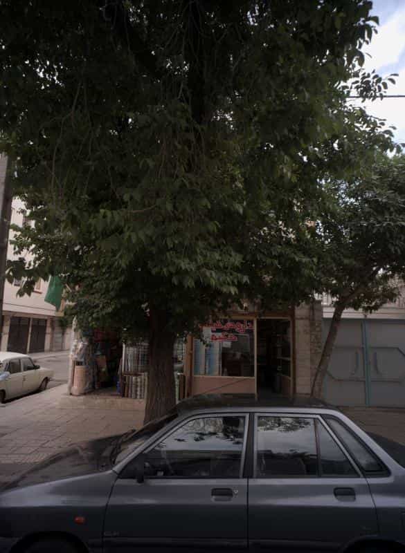 عکس داروهای گیاهی حکیم در رسالت مشهد