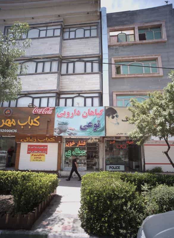 عکس گیاهان دارویی نوعی در نیروی هوایی مشهد