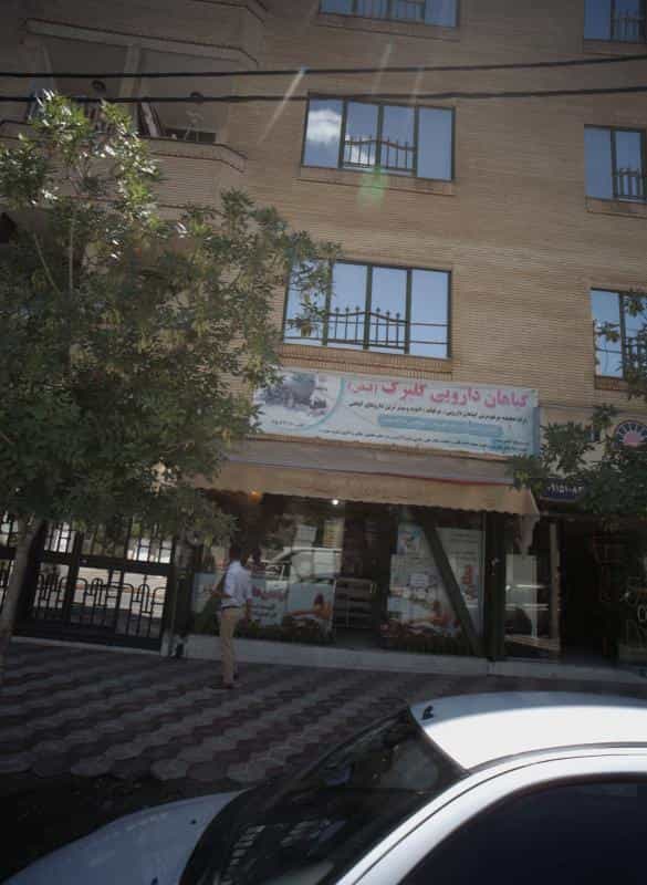 عکس گیاهان دارویی گلبرگ در شهرآرا مشهد