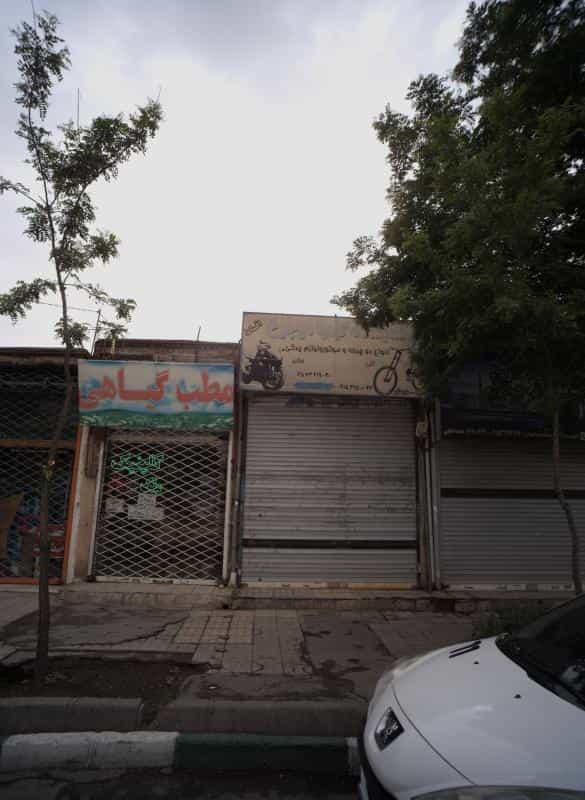 عکس مطب گیاهی در نوده مشهد