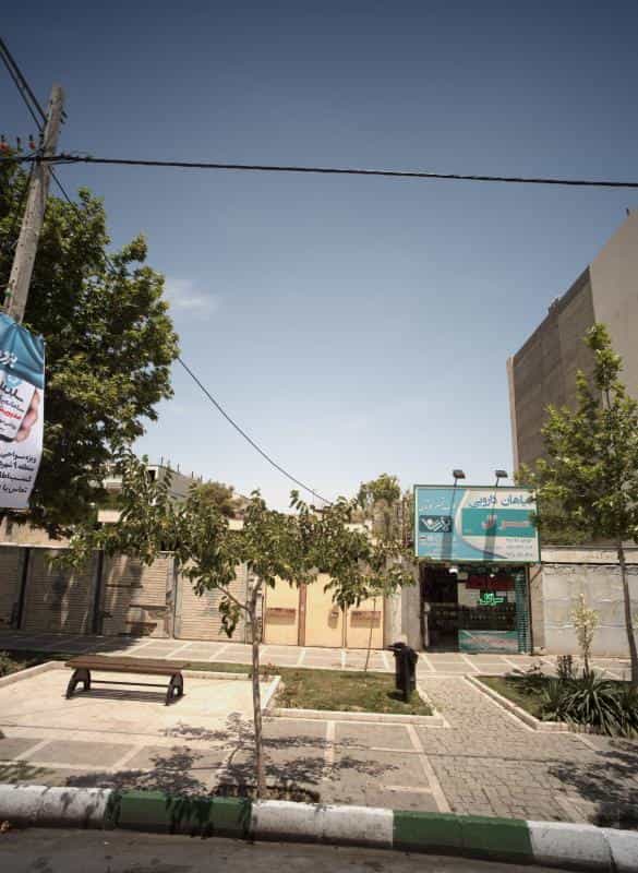 عکس گیاهان دارویی سرگل در رضاشهر مشهد