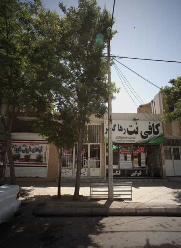 عکس گیاهان دارویی داوود در انقلاب مشهد
