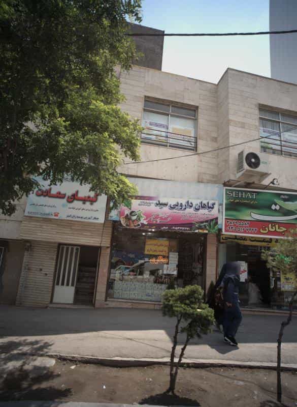 عکس گیاهان دارویی سید در آب و برق مشهد