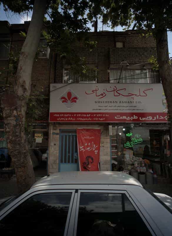 عکس گیاهان دارویی طبیعت در خواجه ربیع مشهد