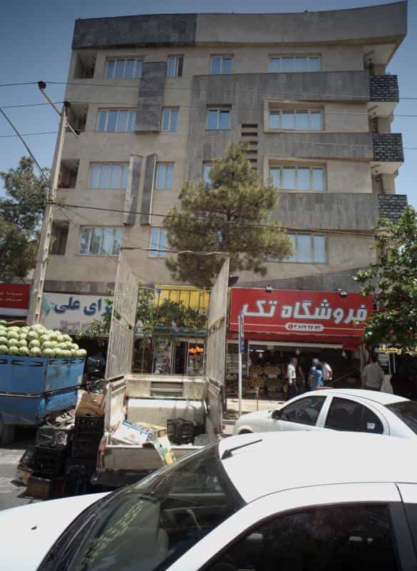 عکس گیاهان دارویی آویشن در شاهد مشهد