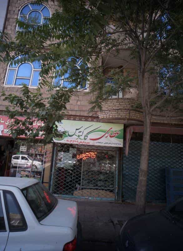 عکس عطاری کاکتوس کوی امیرالمومنین مشهد