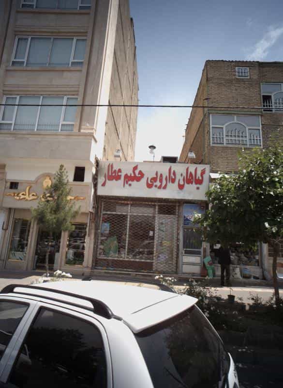 عکس گیاهان دارویی حکیم عطار در فرهنگیان مشهد