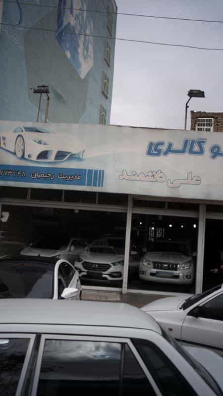 عکس اتوگالری علی دانشمند در درختی کرج