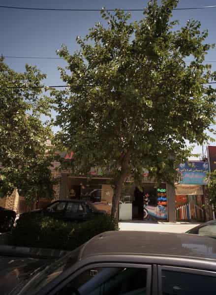 عکس پیش دبستانی غیر دولتی سراج آیات در رضاشهر مشهد