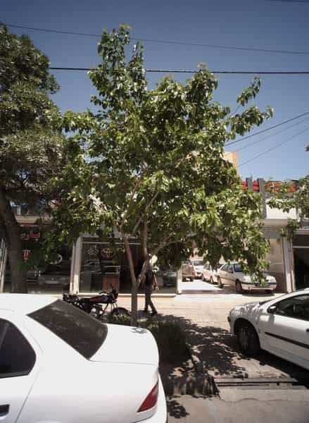 عکس نمایشگاه اتومبیل در گاز مشهد