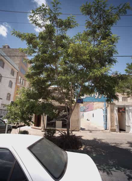 عکس کارواش در هنرستان مشهد