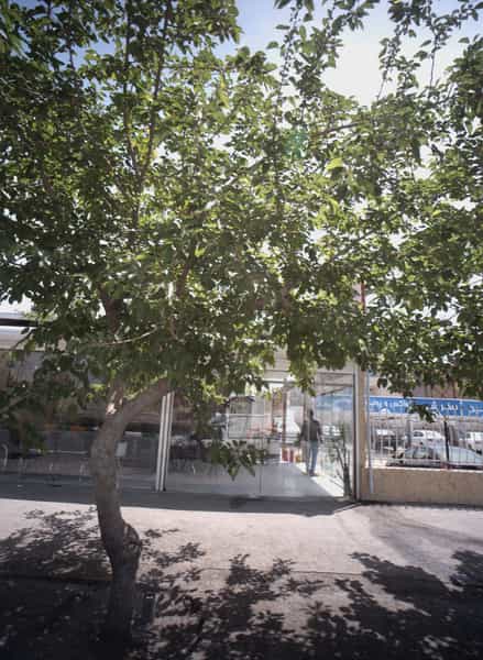 عکس کارواش و تعویض روغنی در ولیعصر مشهد