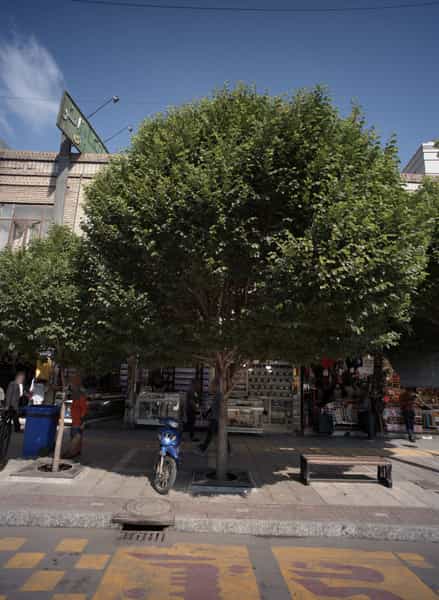 عکس درمانگاه شبانه روزی زائر در آیت الله خامنه ای مشهد