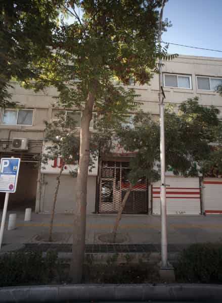 عکس جگر دل قلوه بهار در شهید هاشمی نژاد مشهد