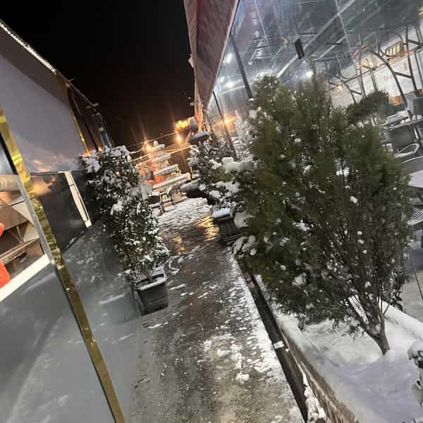 عکس جگرکی هامون در کیانمهر کرج