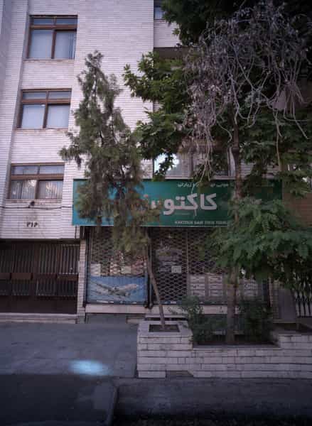 عکس شرکت خدمات مسافرت هوایی جهانگردی کاکتوس سیر توس در دانشجو مشهد