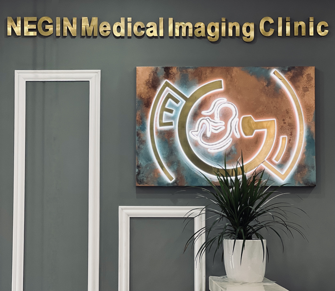 عکس سونوگرافی و رادیولوژی نگین در قصرالدشت شیراز