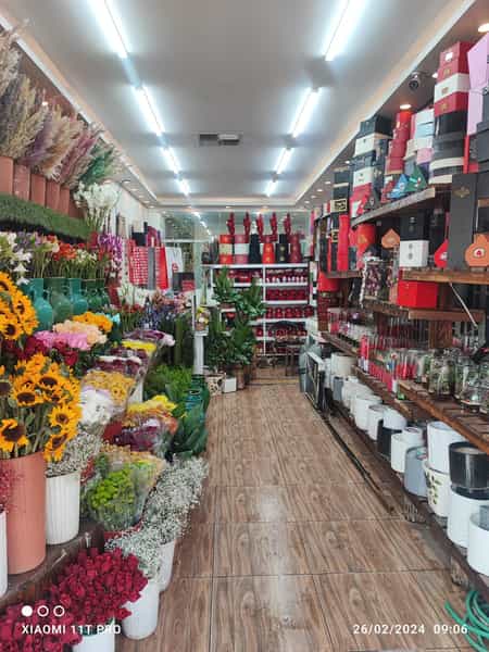 عکس گلسرای لاله شهرک ایثار شیراز