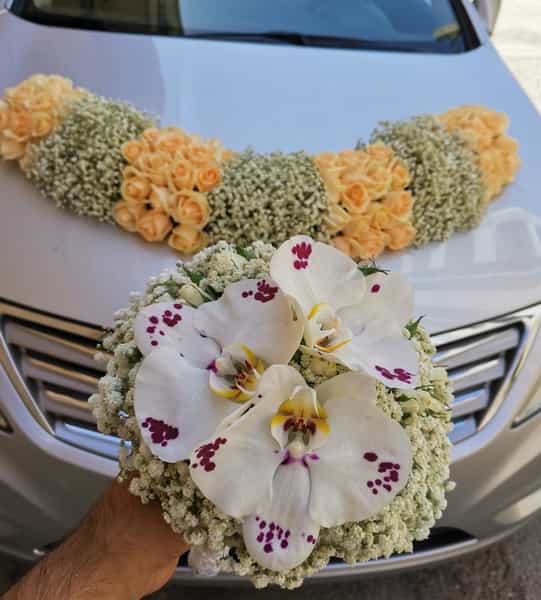 عکس گل فروشی هدیه در ریشمک شیراز