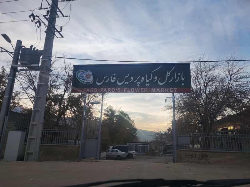 عکس بازار گل و گیاه پردیس. گل و کاکتوس شیراز. اسلام پناه در رکن آباد شیراز
