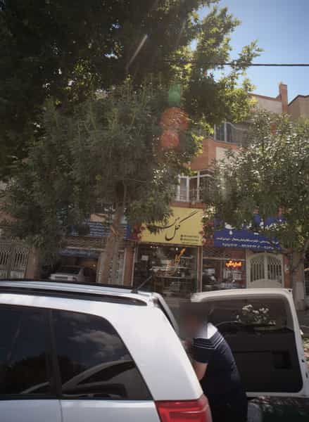 عکس گل من در شهرآرا مشهد