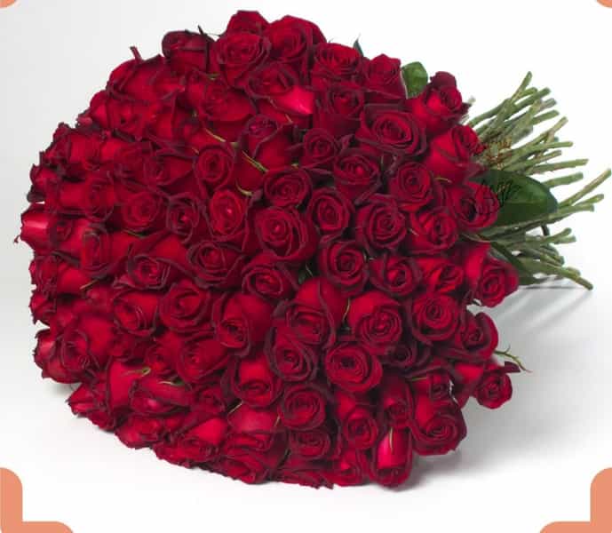 عکس گلسرای امیر در هویزه شیراز