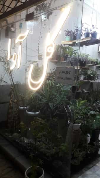 عکس گل فروشی آوا در فرهنگیان مشهد