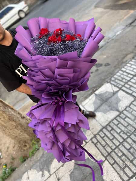 عکس گل وزرا در ملاصدرا شیراز