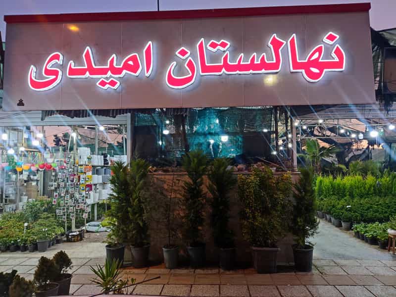 عکس گلباغ و نهالستان امیدی در صاحب دیوان شیراز