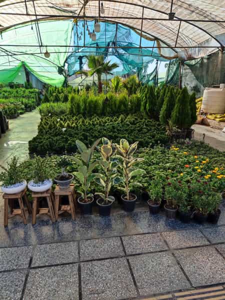 عکس گلباغ و نهالستان امیدی در صاحب دیوان شیراز