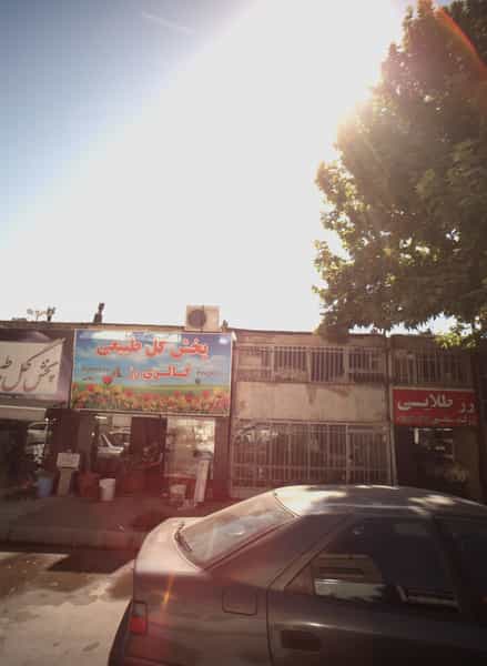 عکس گالری رز کوی امیرالمومنین مشهد