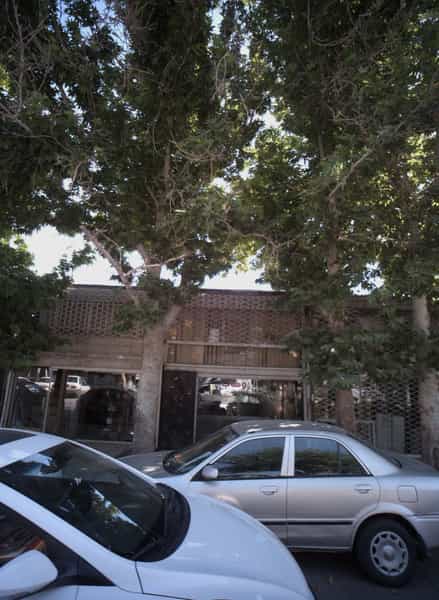 عکس گل فروشی وهاب کوی امیرالمومنین مشهد