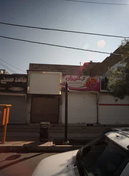 عکس گل گلریزان در گلشور مشهد