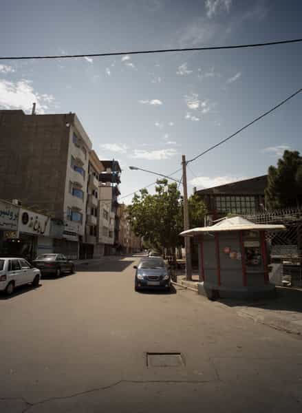 عکس گل باغ رز در دانشجو مشهد