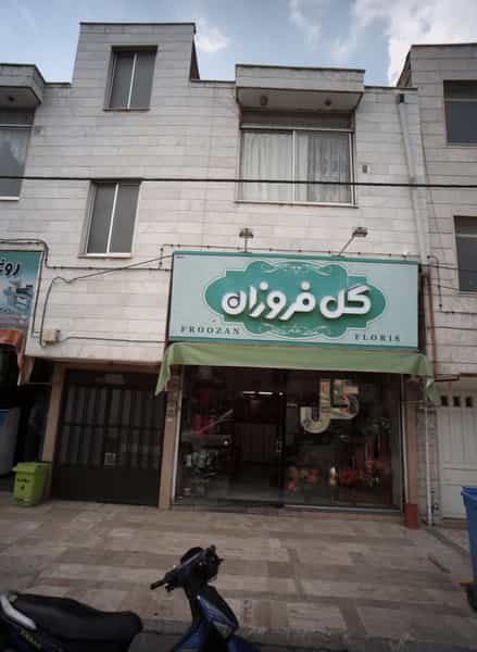 عکس گل فروزان در فدک مشهد