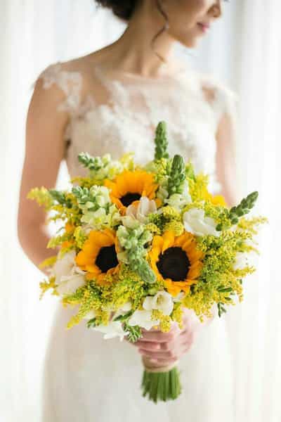 عکس گل سرای دنیز شیراز