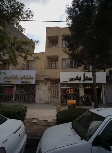 عکس گل بهمن در شریف مشهد