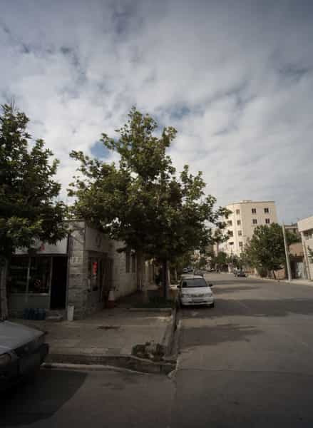 عکس آقای گل در سید رضی مشهد