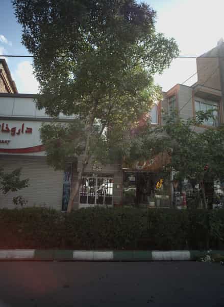 عکس گل فروشی سوگل در شهید مطهری مشهد