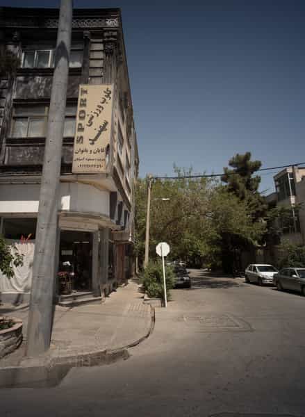 عکس گل رگال در کوهسنگی مشهد
