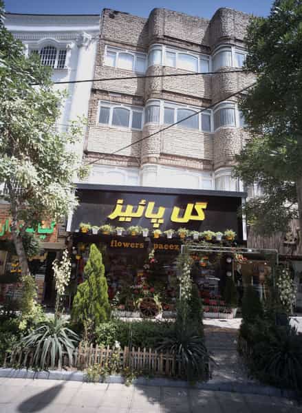 عکس گل پائیز در کوثر مشهد