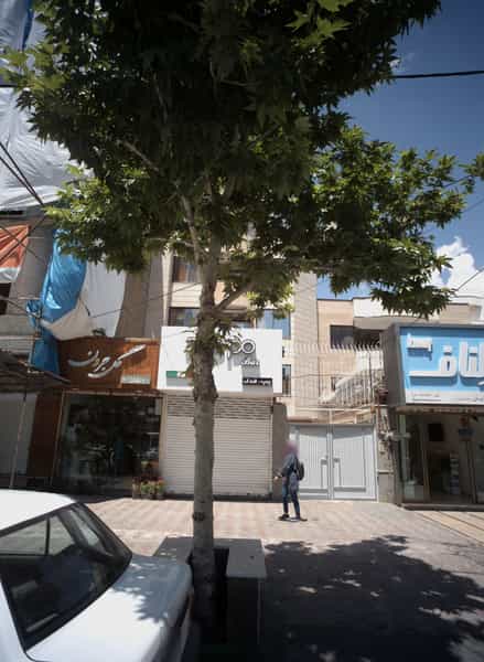 عکس گل جردن در هفت تیر مشهد