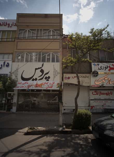 عکس پردیس در شریف مشهد