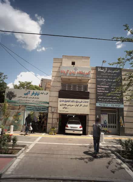 عکس گل و گیاه نیلوفر آبی در آب و برق مشهد
