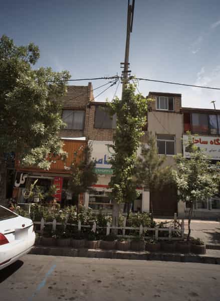 عکس گل پرشین در فرهنگیان مشهد