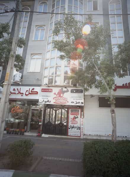 عکس گل بلاش در نیروی هوایی مشهد