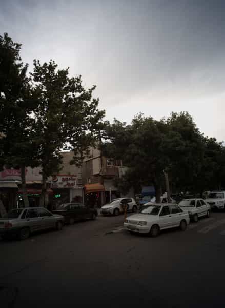 عکس گل ناز در احمدآباد مشهد