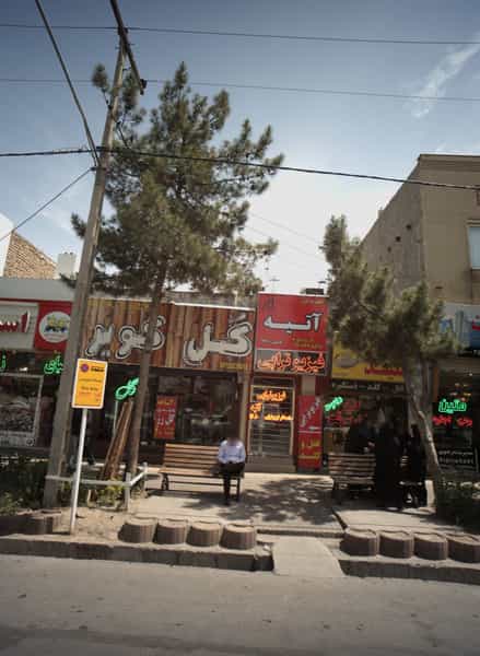 عکس گل کویر در فرهنگیان مشهد