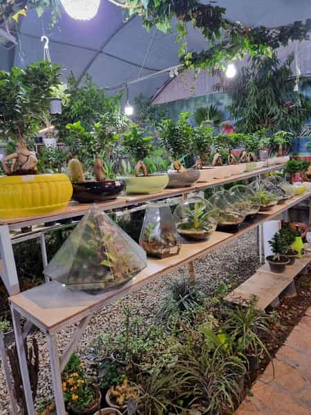 عکس شهرگل کوی مدرس کرج