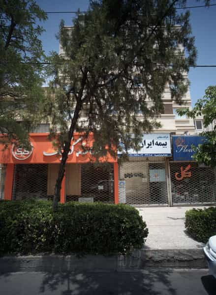 عکس گل در دانشجو مشهد